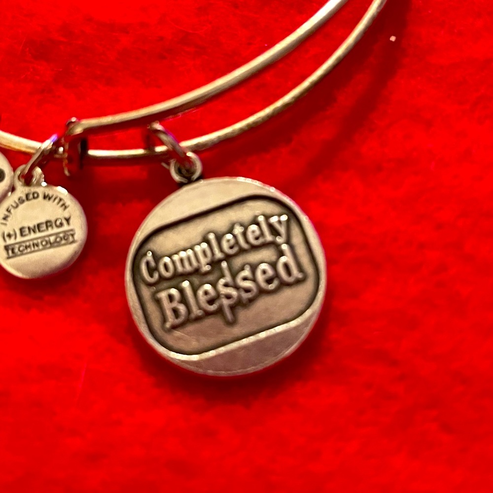 Alex and Ani Completely Blessed bangle bracelet - Picture 2 of 5